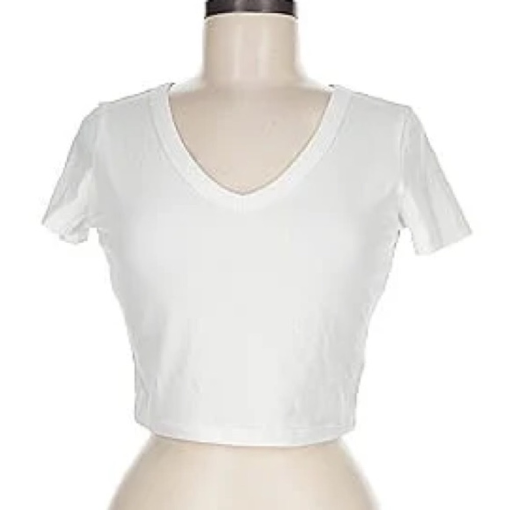 NWOT wild fable, V-neck crop top tee